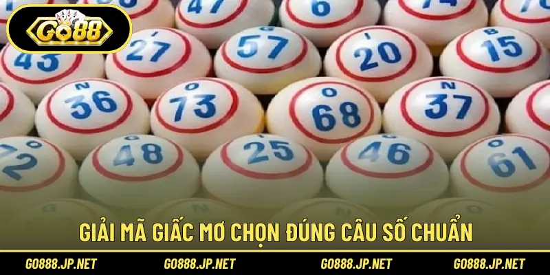 Giải mã giấc mơ chọn đúng cầu số chuẩn